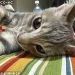 Winifred Simonis Profile Picture