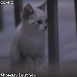 Benjamin Labadie Profile Picture